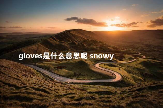 gloves是什么意思呢 snowy是什么意思中文